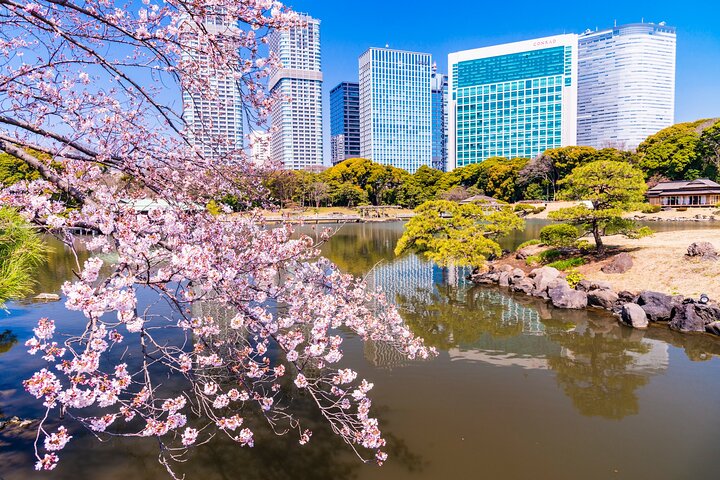 chuo city image